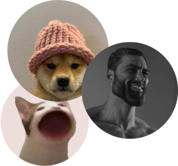 Hype What are memecoins?
